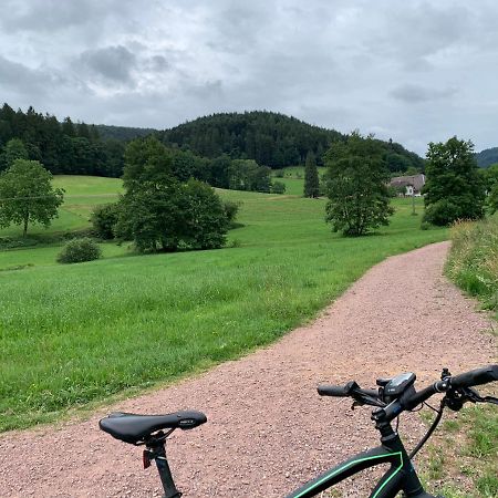 Casa Blanca Am Herzzentrum Lahr Lahr/Schwarzwald Kültér fotó