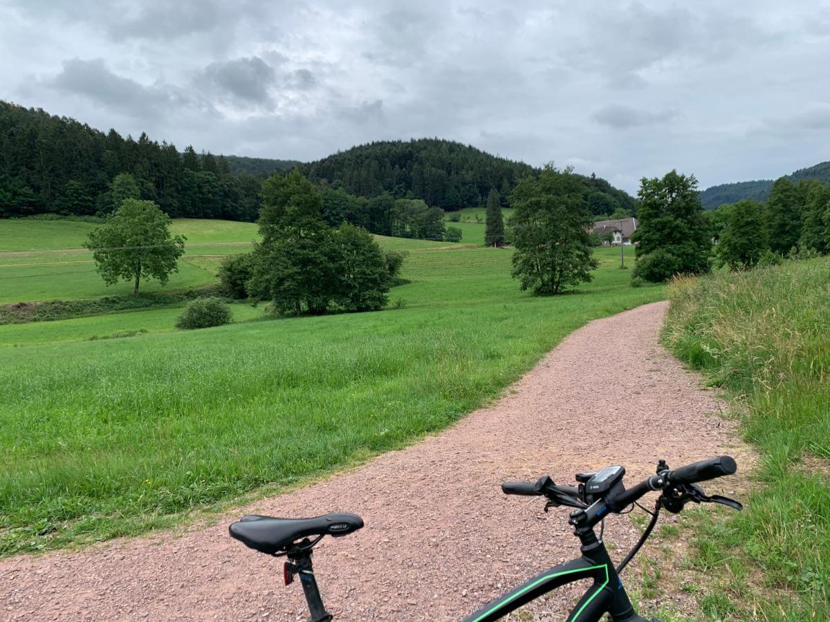 Casa Blanca Am Herzzentrum Lahr Lahr/Schwarzwald Kültér fotó