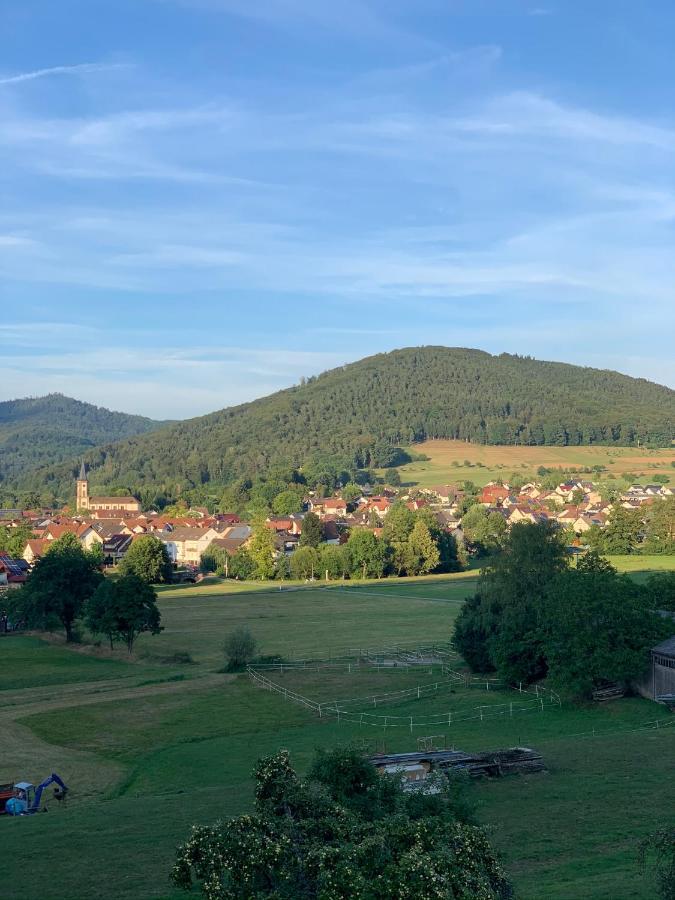 Casa Blanca Am Herzzentrum Lahr Lahr/Schwarzwald Kültér fotó
